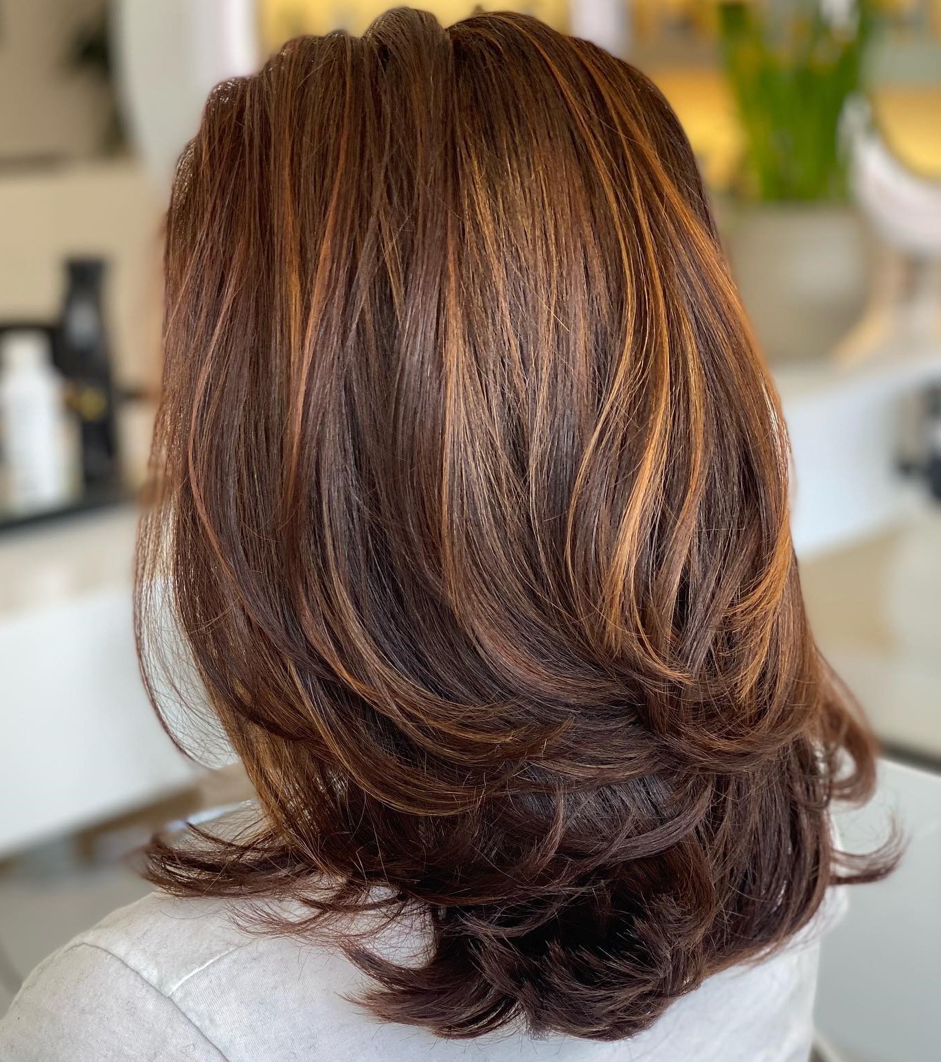 Medium Brown Hairstyle with Layered Bottom