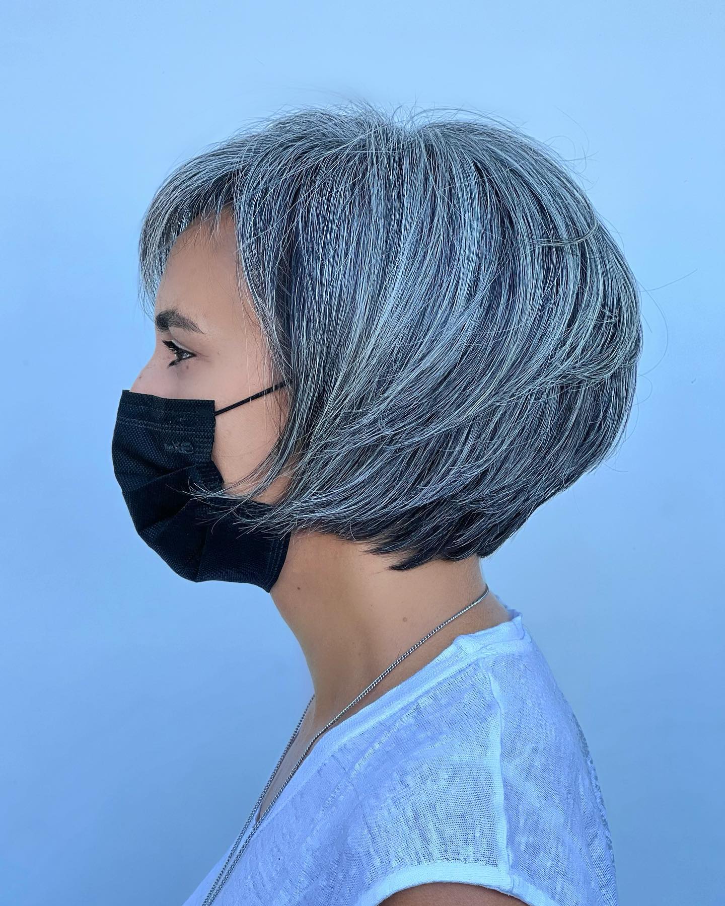 Gray Pixie Bob with Highlights and Lowlights