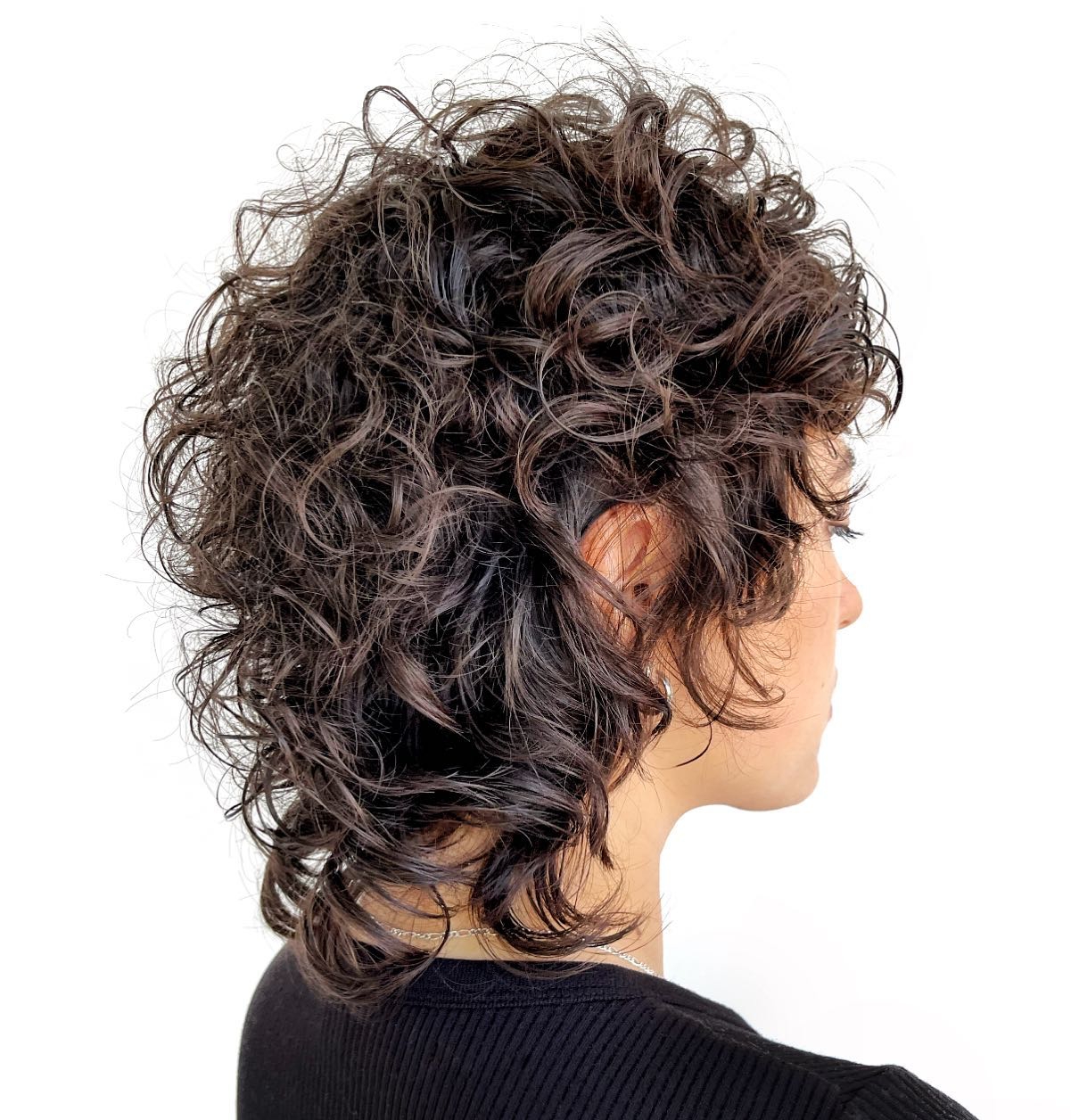 Fluffy Curly Wolf Cut Mullet