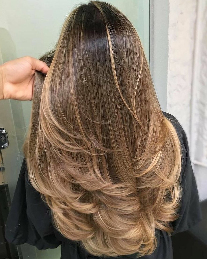 Long Feathered Layers with Highlights