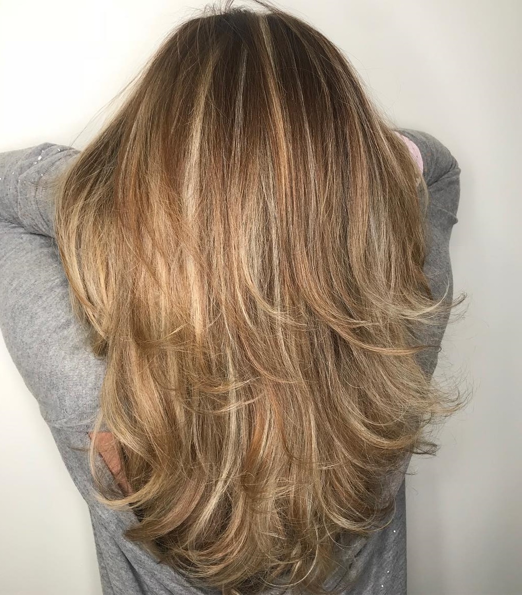 Feathered Dark Blonde Hairstyle with Highlights