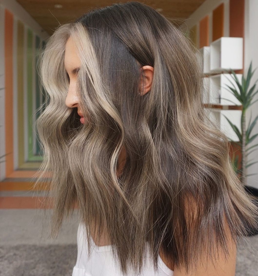 Mushroom Brown Hair with Money Pieces