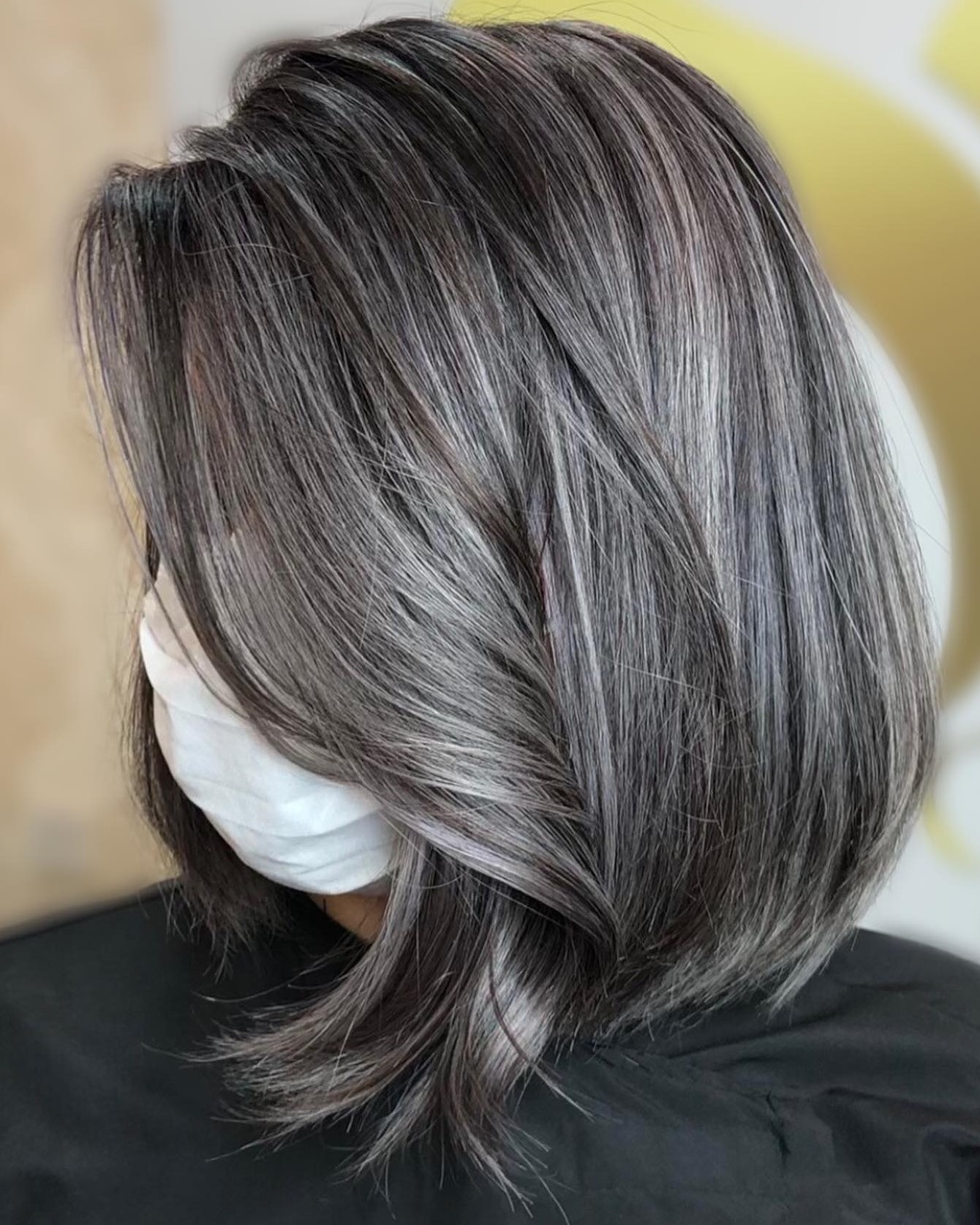 Dark Hair with Gray Highlights