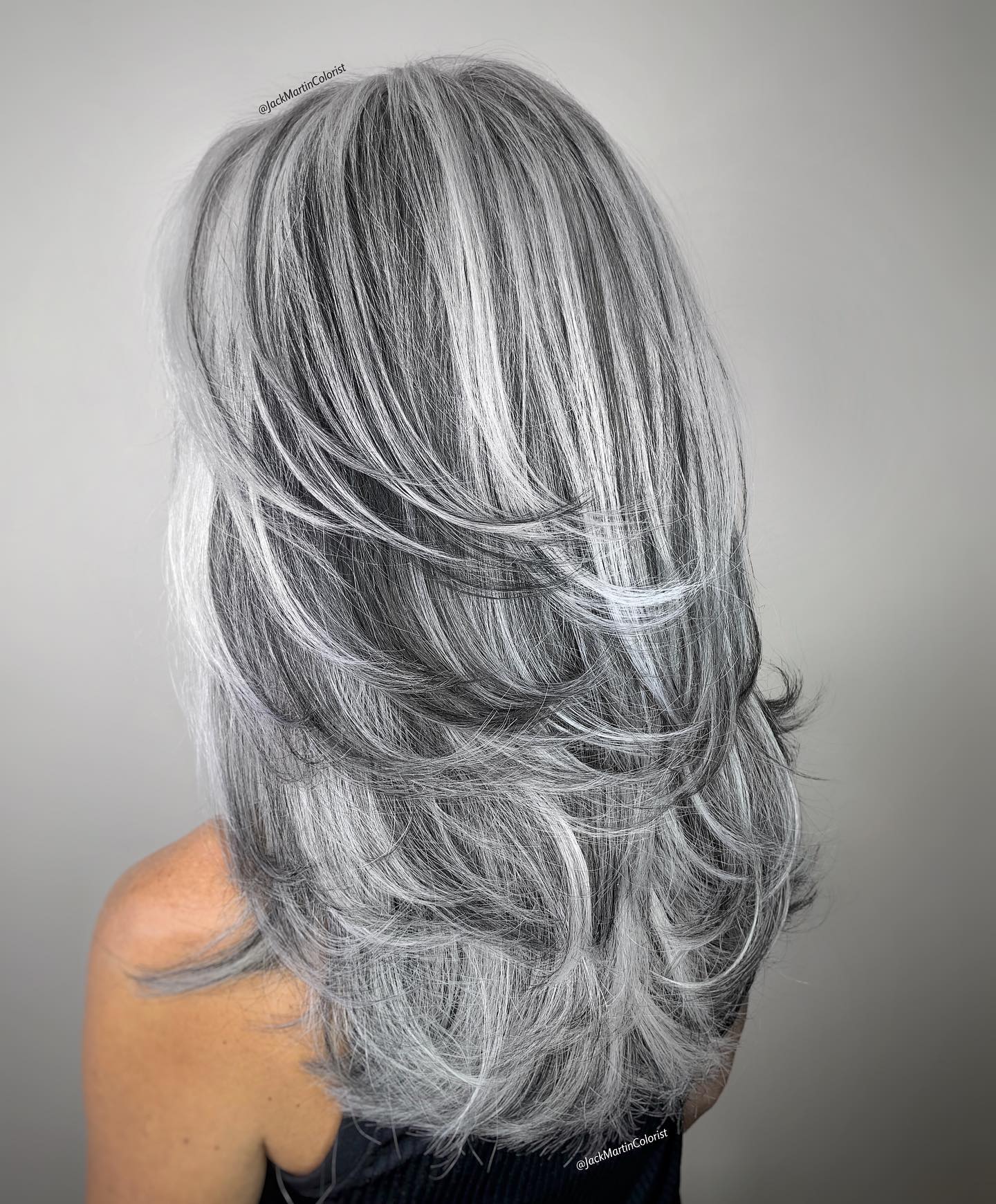 Silver and Pepper Long Hair