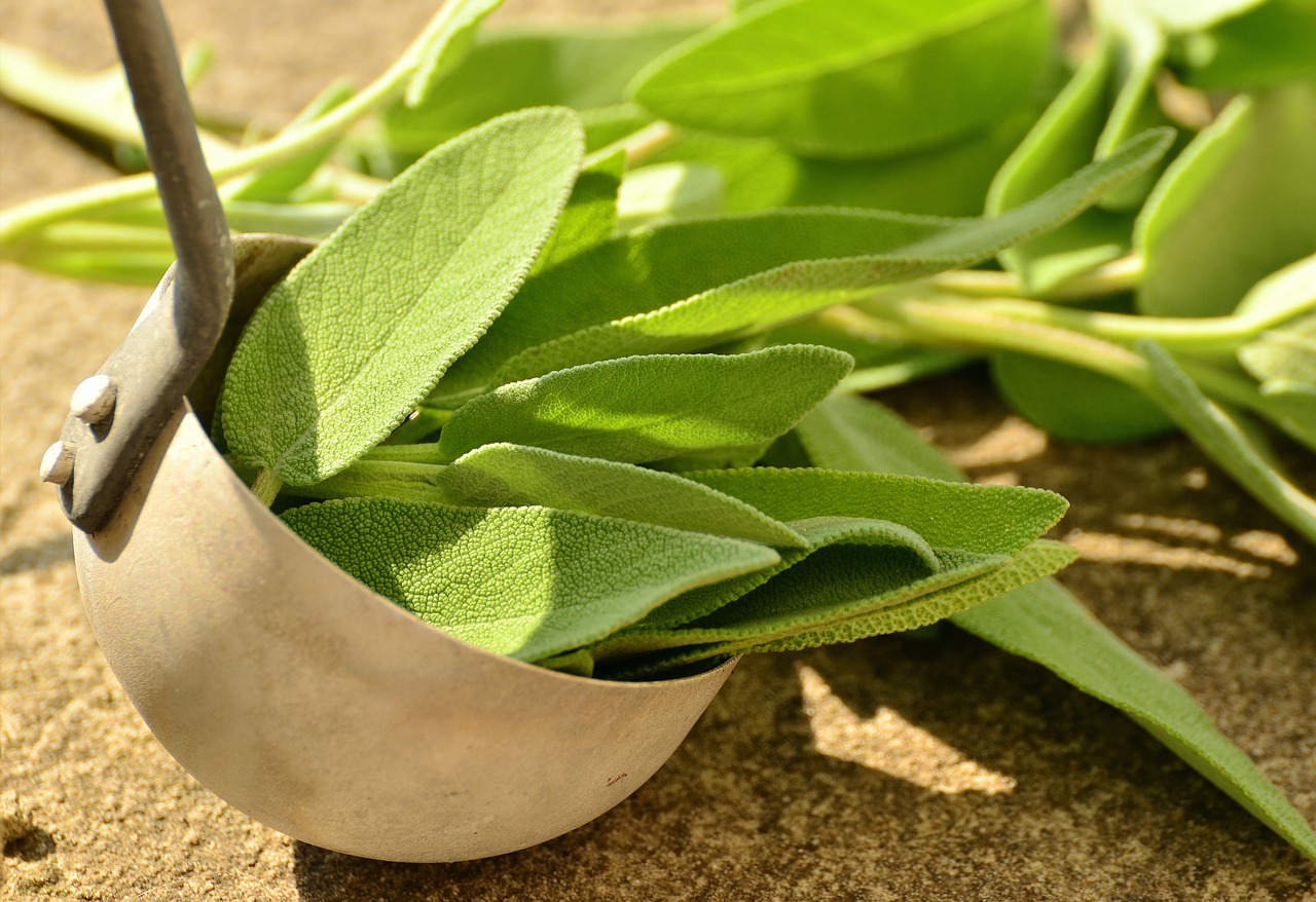 Dyeing Hair Darker at Home Naturally with Plants